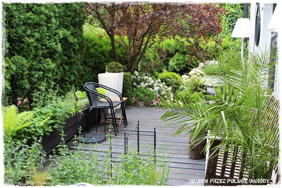 tarasy aranżacje 3 tarasy aranżacje 3