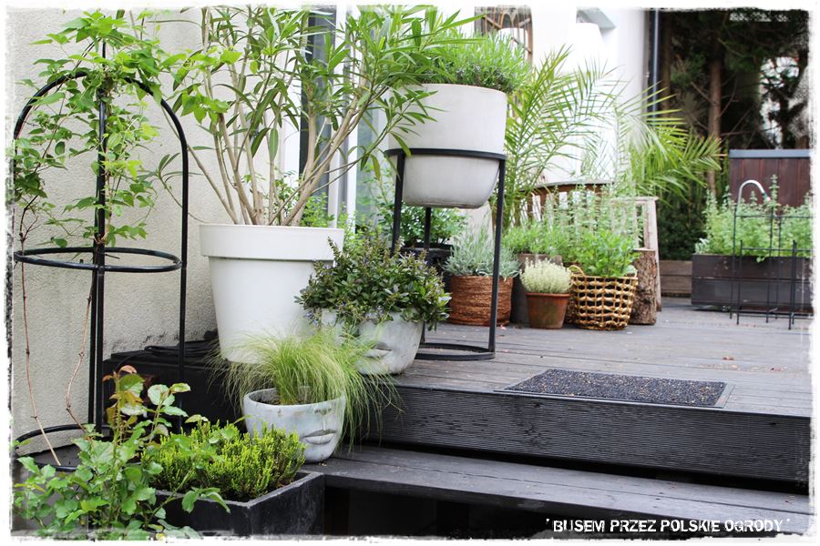 tarasy aranżacje 4 tarasy aranżacje 4