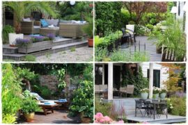 Aranżacja tarasu – rośliny 0