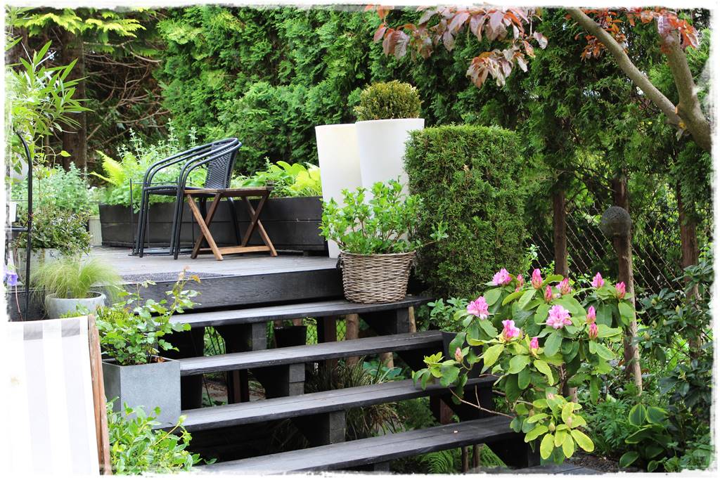 Aranżacja tarasu – rośliny 101 Aranżacja tarasu – rośliny 101