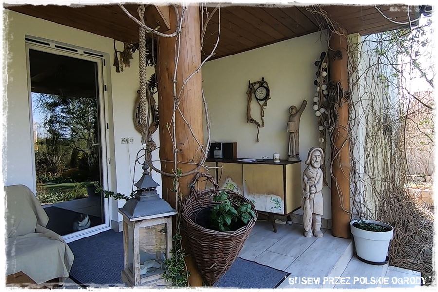 Aranżacja tarasu – rośliny 104 Aranżacja tarasu – rośliny 104