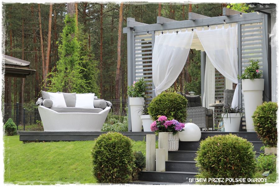 Aranżacja tarasu – rośliny 105 Aranżacja tarasu – rośliny 105