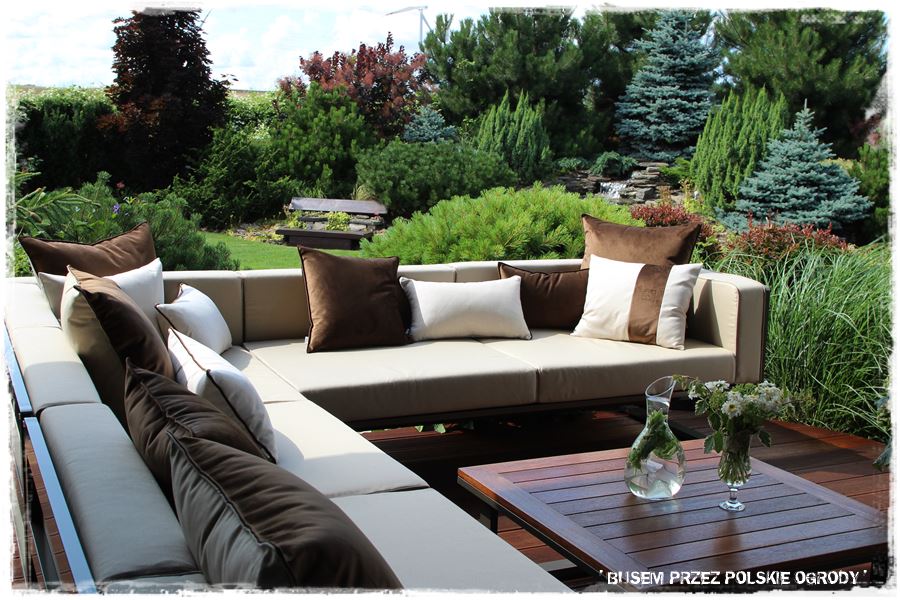 Aranżacja tarasu – rośliny 107 Aranżacja tarasu – rośliny 107