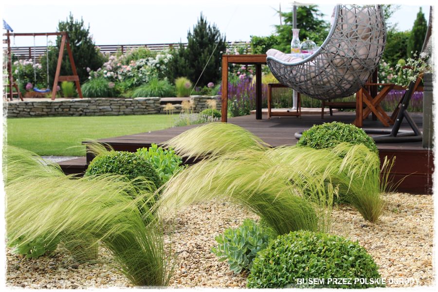 Aranżacja tarasu – rośliny 110 Aranżacja tarasu – rośliny 110