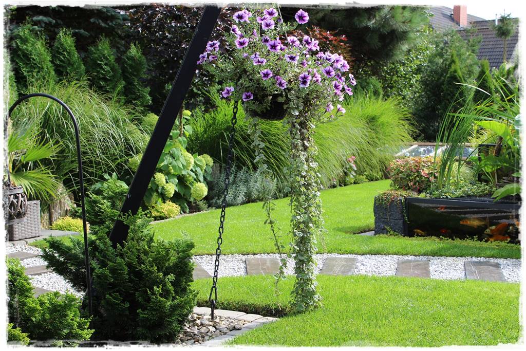 Aranżacja tarasu – rośliny 2b Aranżacja tarasu – rośliny 2b