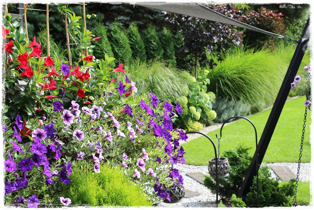 Aranżacja tarasu – rośliny 2f Aranżacja tarasu – rośliny 2f