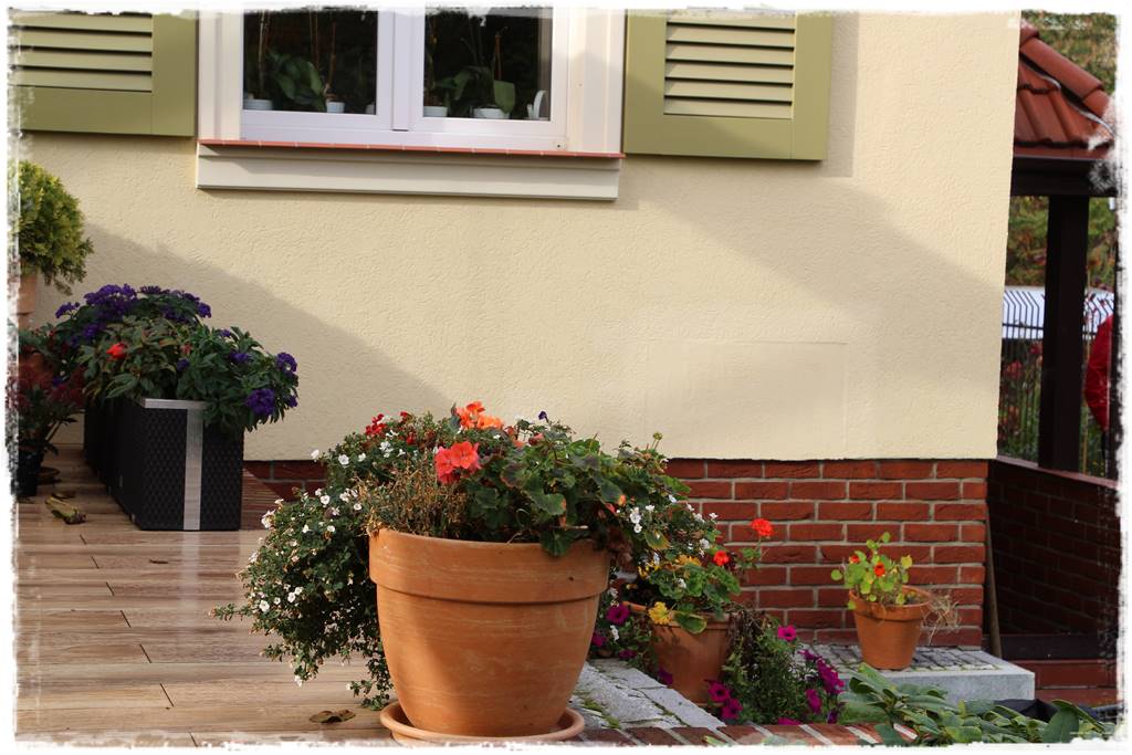 Aranżacja tarasu – rośliny 2y Aranżacja tarasu – rośliny 2y