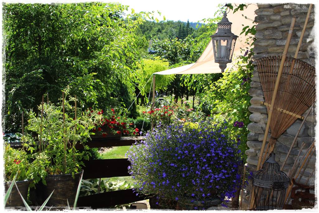 Aranżacja tarasu – rośliny 2yy Aranżacja tarasu – rośliny 2yy