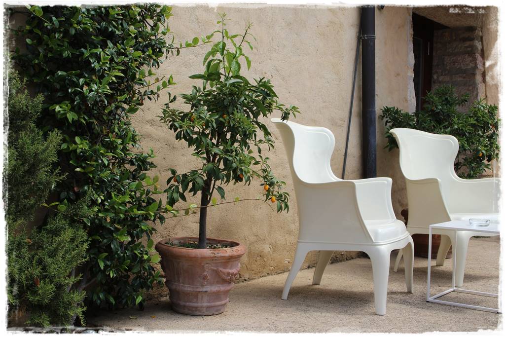 Aranżacja tarasu – rośliny 3e