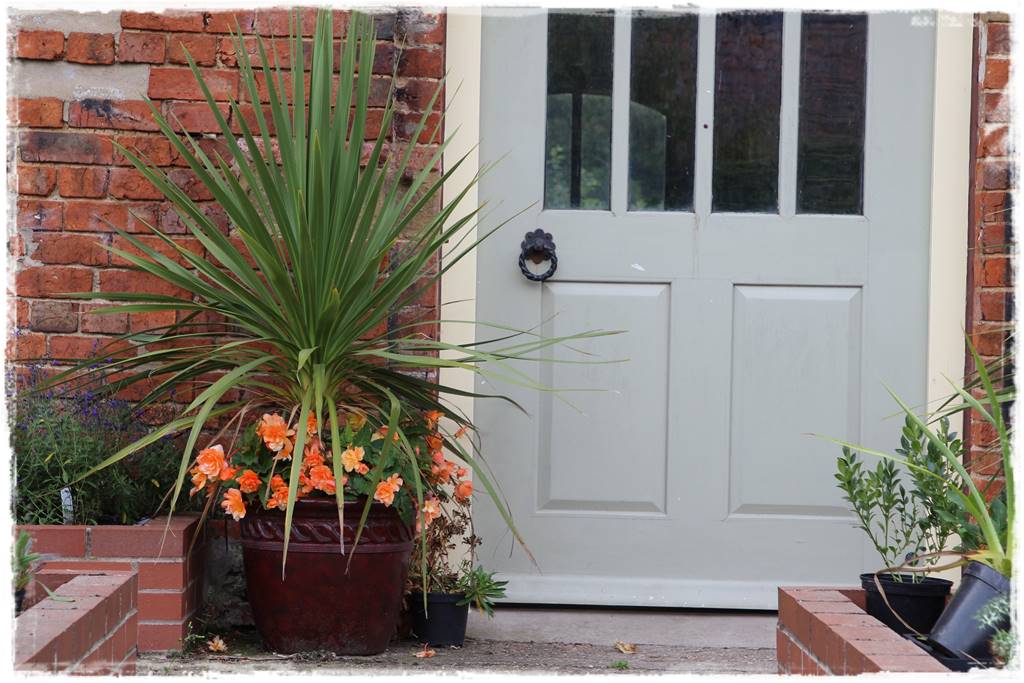 Aranżacja tarasu – rośliny 3i