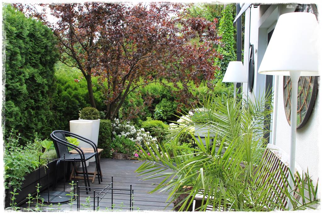 Aranżacja tarasu – rośliny 3j Aranżacja tarasu – rośliny 3j