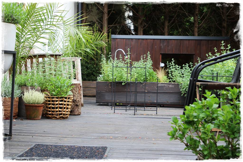 Aranżacja tarasu – rośliny 3k Aranżacja tarasu – rośliny 3k