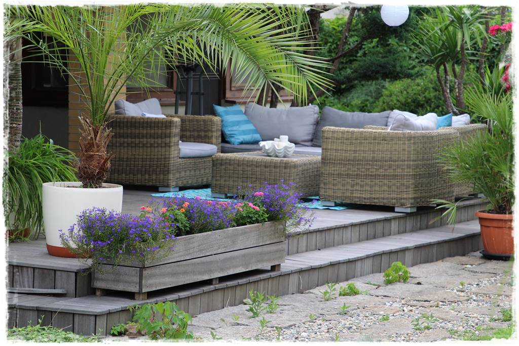 Aranżacja tarasu – rośliny 3m Aranżacja tarasu – rośliny 3m