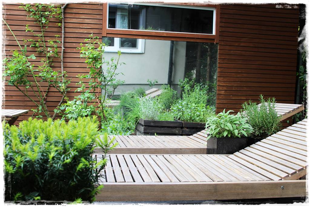 Aranżacja tarasu – rośliny 5b Aranżacja tarasu – rośliny 5b