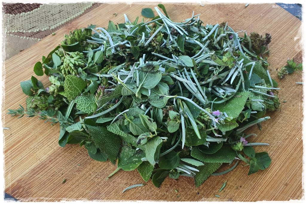 Aranżacja tarasu – rośliny 5c Aranżacja tarasu – rośliny 5c