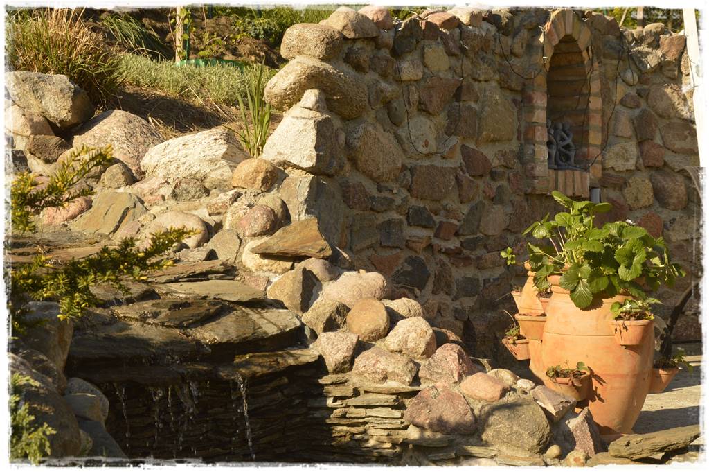 Aranżacja tarasu – rośliny 6a Aranżacja tarasu – rośliny 6a