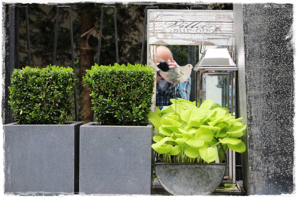 Aranżacja tarasu – rośliny 7b Aranżacja tarasu – rośliny 7b