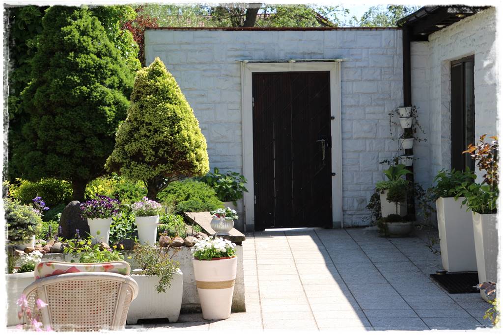 Aranżacja tarasu – rośliny 7c