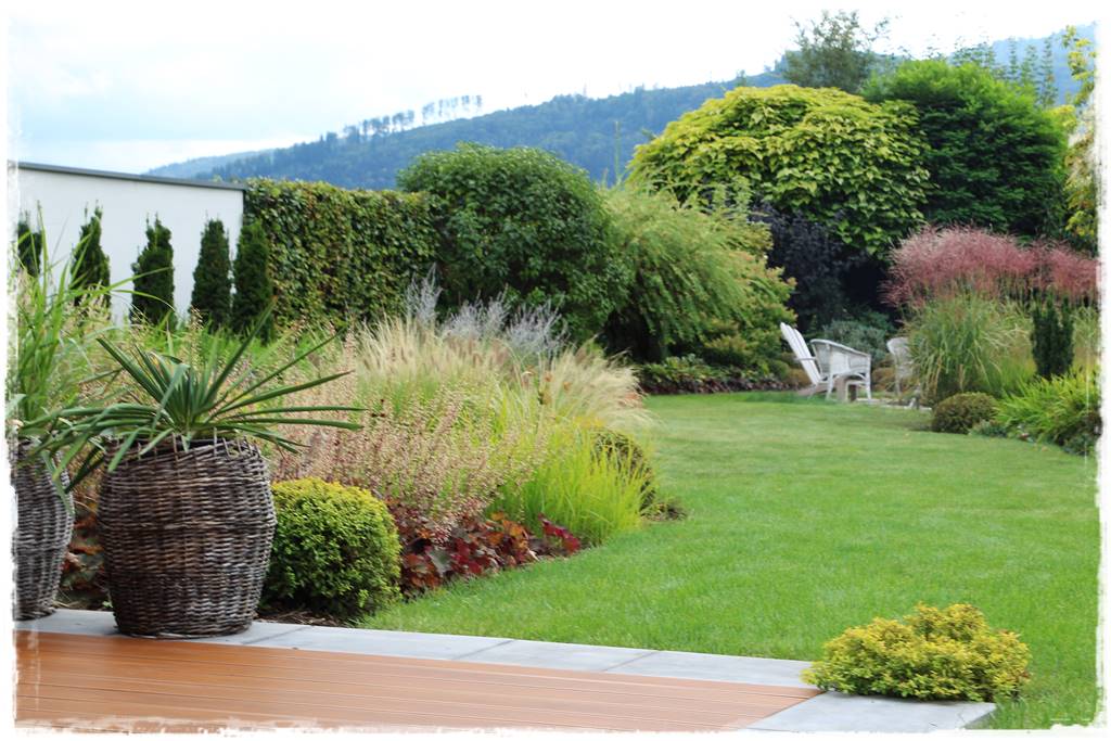 Aranżacja tarasu – rośliny 7e Aranżacja tarasu – rośliny 7e