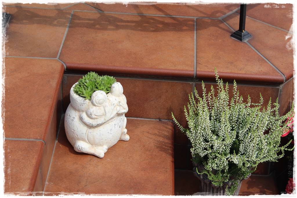 Aranżacja tarasu – rośliny 7g