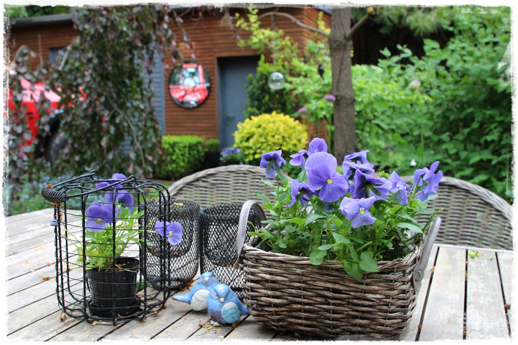 Aranżacja tarasu – rośliny 8