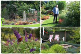 Budleja w ogrodzie aranżacje 1