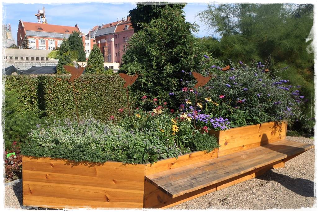 Budleja w ogrodzie aranżacje 200 Budleja w ogrodzie aranżacje 200