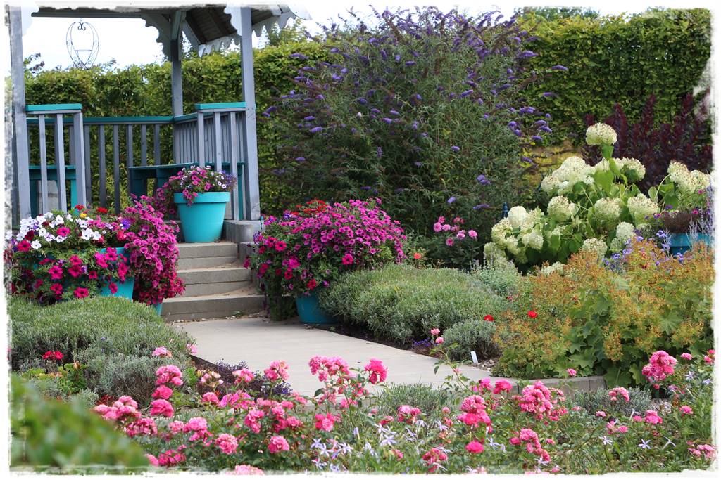 Budleja w ogrodzie aranżacje 220 Budleja w ogrodzie aranżacje 220