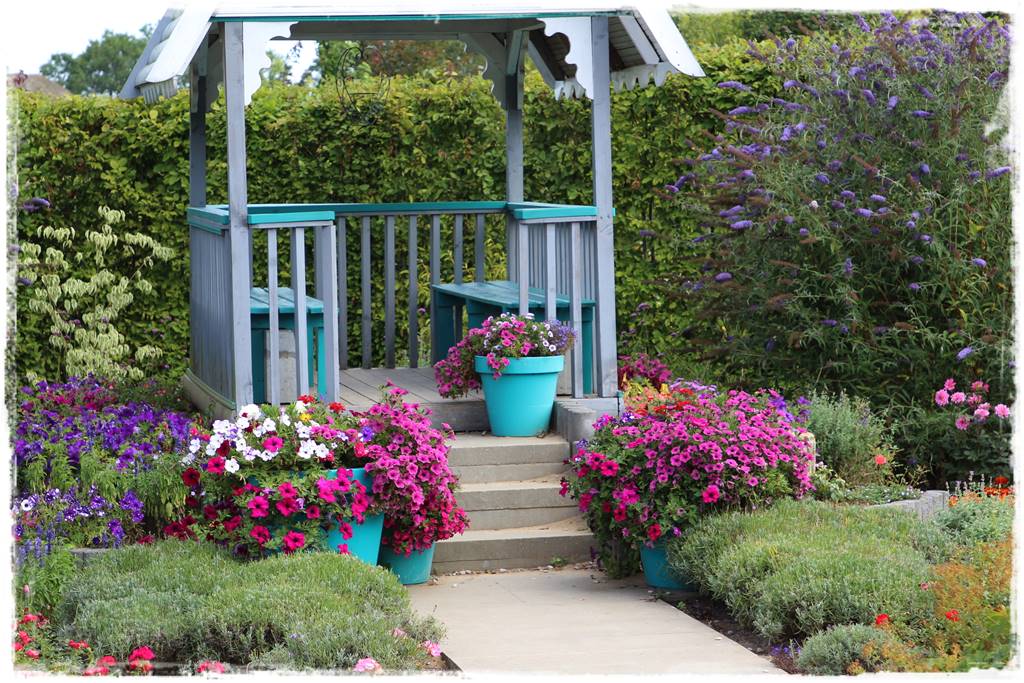 Budleja w ogrodzie aranżacje 221 Budleja w ogrodzie aranżacje 221