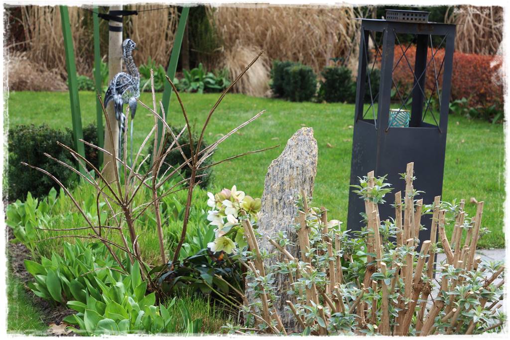 Budleja w ogrodzie aranżacje 261 Budleja w ogrodzie aranżacje 261