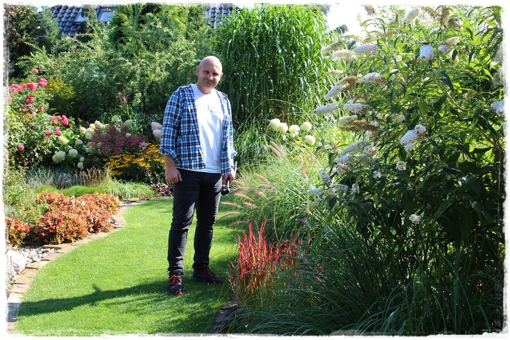 Budleja w ogrodzie aranżacje 270 Budleja w ogrodzie aranżacje 270