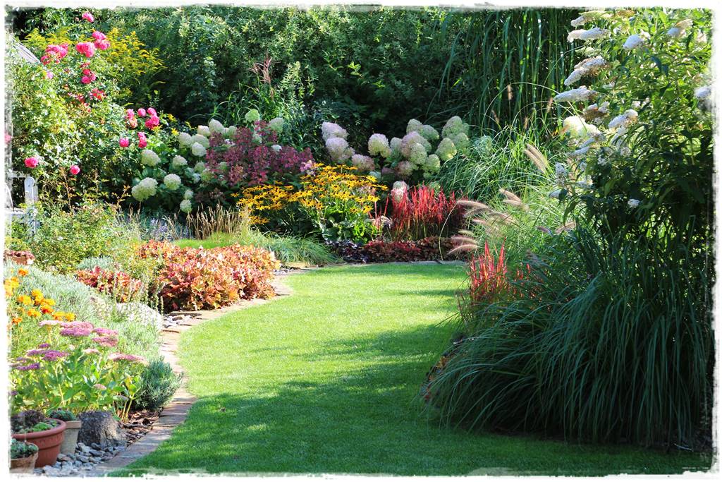 Budleja w ogrodzie aranżacje 271 Budleja w ogrodzie aranżacje 271
