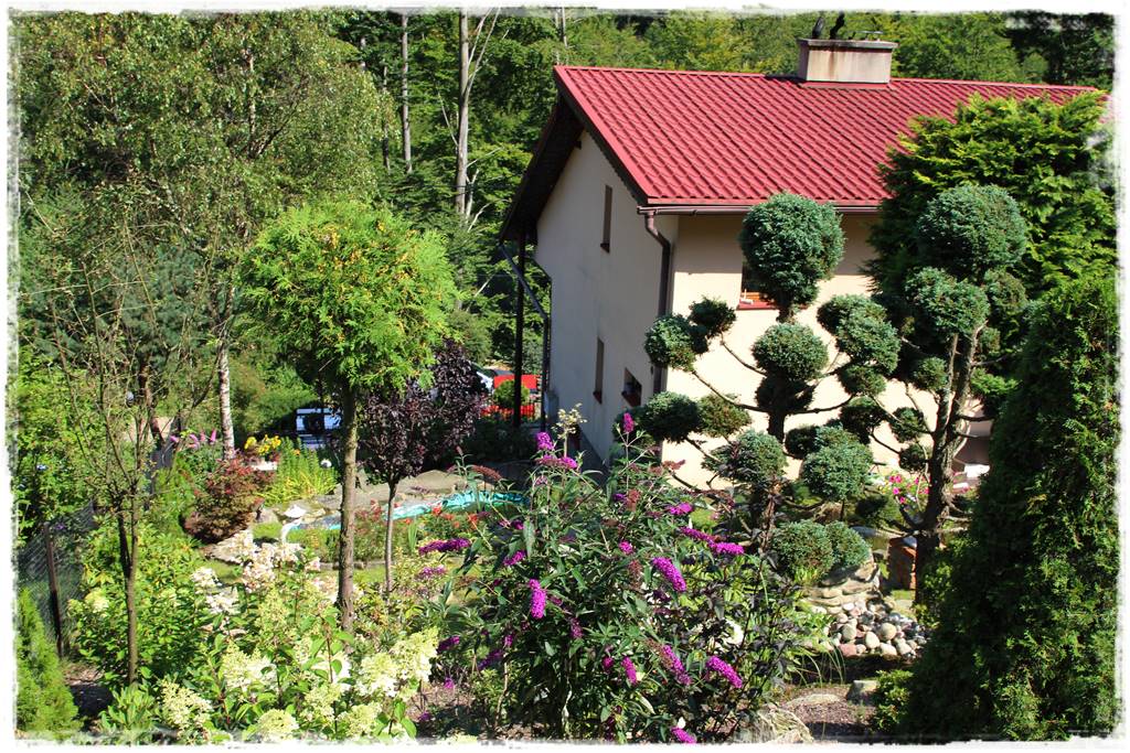 Budleja w ogrodzie aranżacje 330