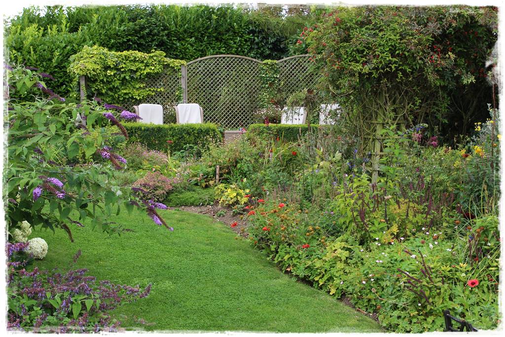 Budleja w ogrodzie aranżacje 340