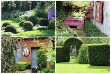 Cis w ogrodzie aranżacje 1