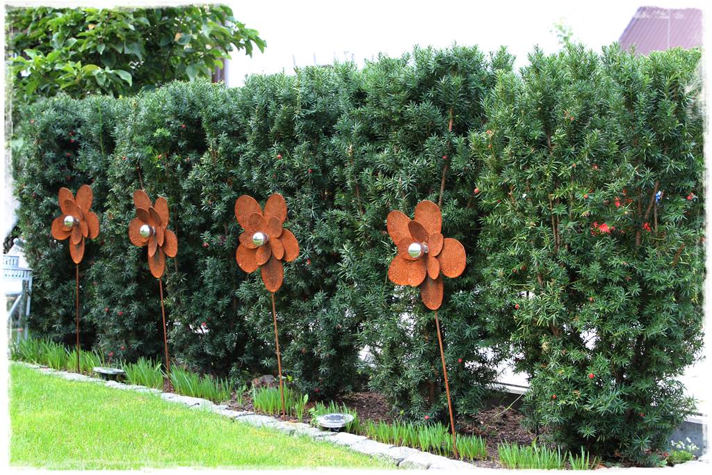 Cis w ogrodzie aranżacje 10