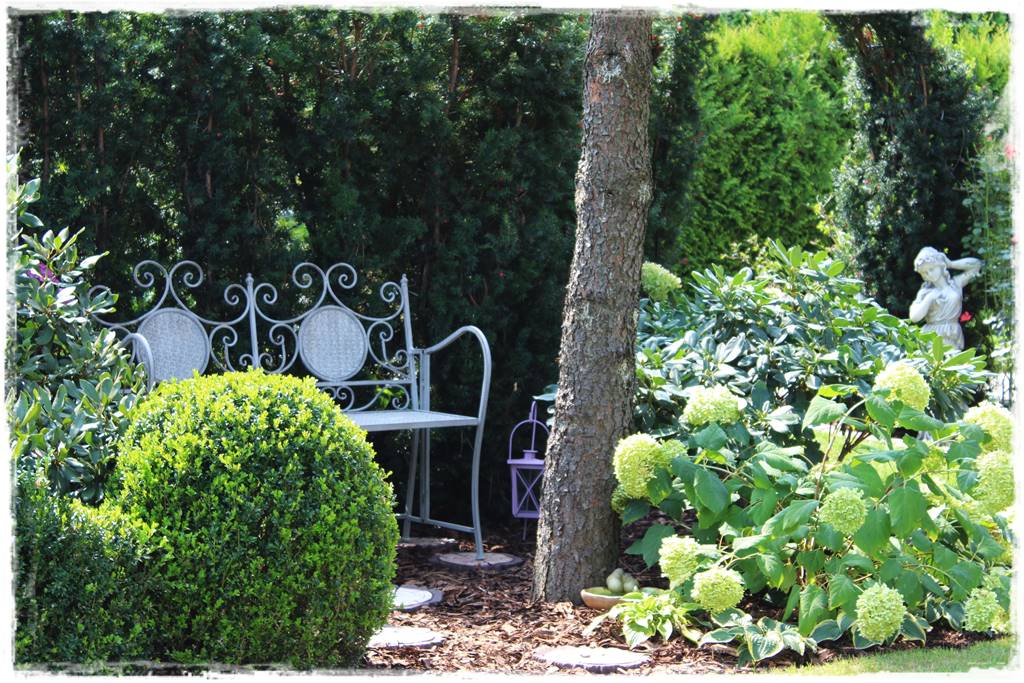 Cis w ogrodzie aranżacje 10c Cis w ogrodzie aranżacje 10c