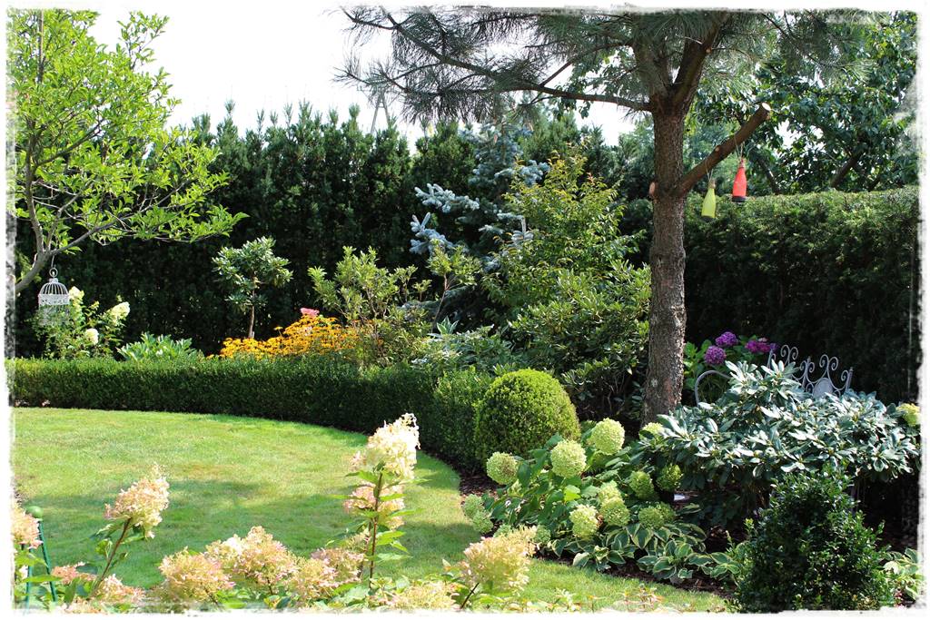 Cis w ogrodzie aranżacje 10d Cis w ogrodzie aranżacje 10d