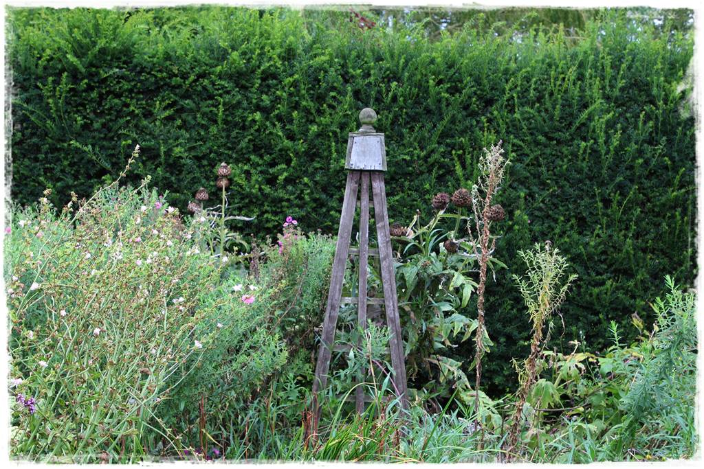 Cis w ogrodzie aranżacje 10e Cis w ogrodzie aranżacje 10e