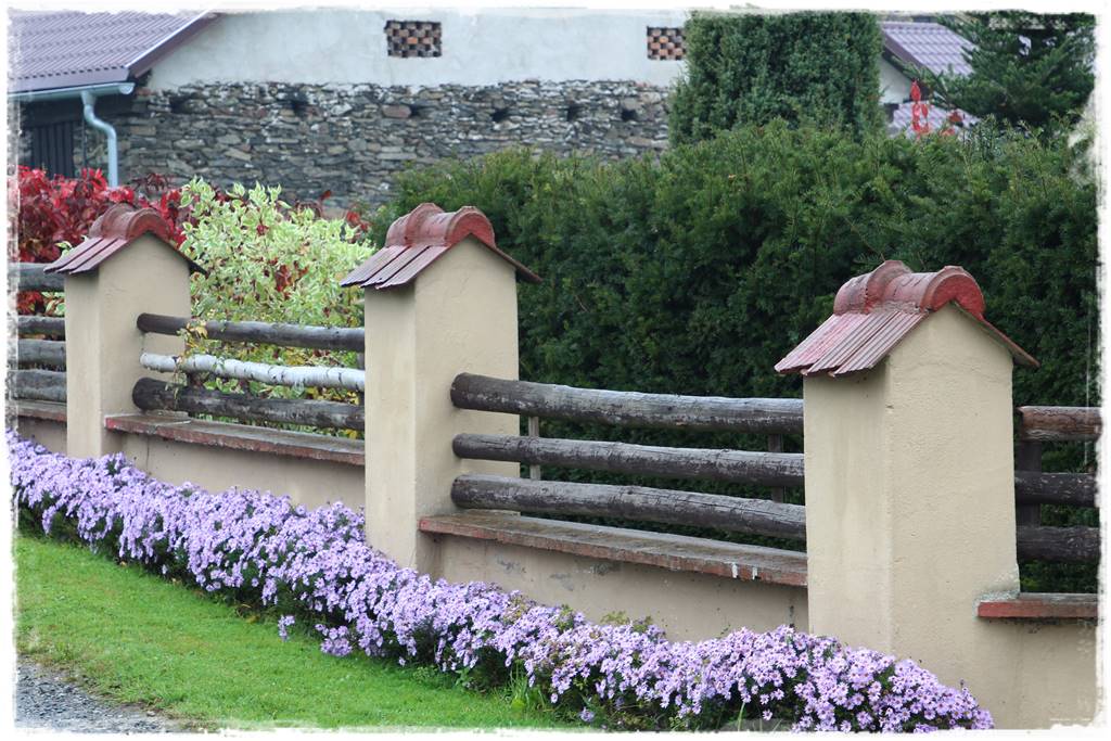 Cis w ogrodzie aranżacje 10gg Cis w ogrodzie aranżacje 10gg