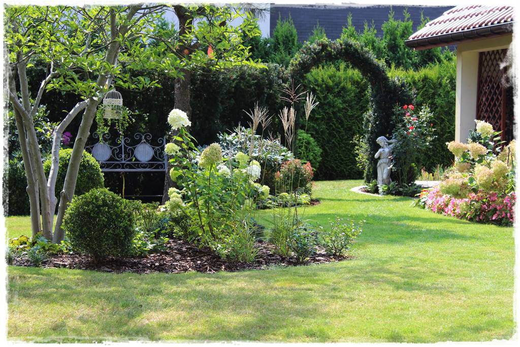 Cis w ogrodzie aranżacje 10h Cis w ogrodzie aranżacje 10h