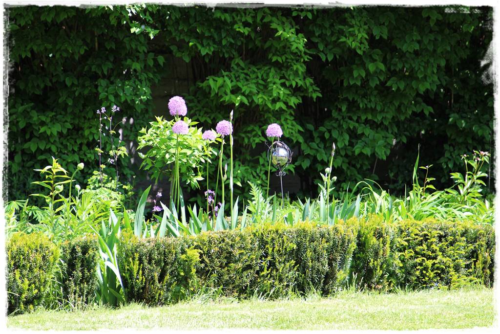 Cis w ogrodzie aranżacje 20d Cis w ogrodzie aranżacje 20d