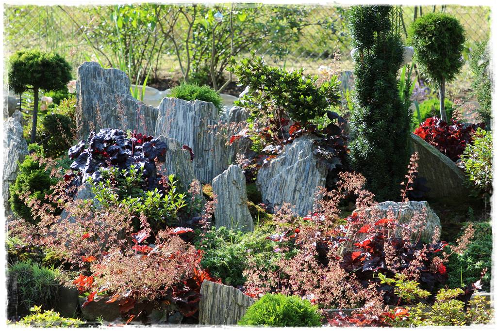 Cis w ogrodzie aranżacje 30b Cis w ogrodzie aranżacje 30b