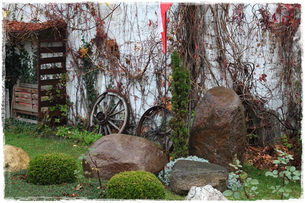 Cis w ogrodzie aranżacje 30c Cis w ogrodzie aranżacje 30c