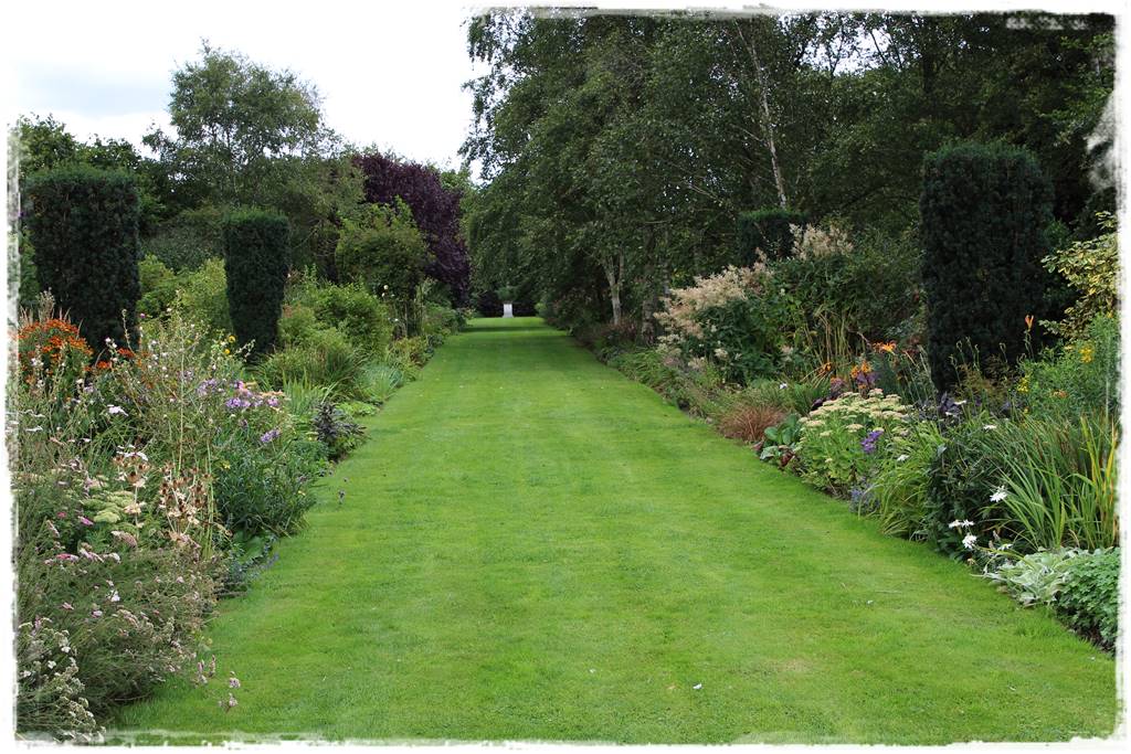 Cis w ogrodzie aranżacje 30g Cis w ogrodzie aranżacje 30g