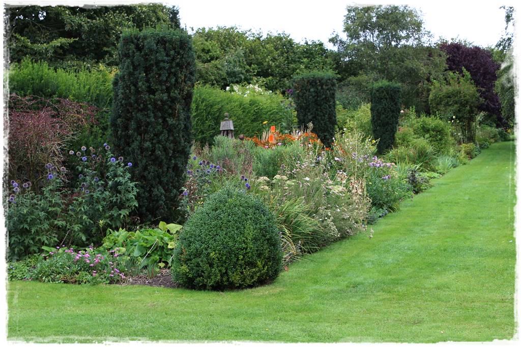 Cis w ogrodzie aranżacje 30h Cis w ogrodzie aranżacje 30h