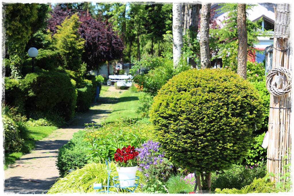 Cis w ogrodzie aranżacje 40 Cis w ogrodzie aranżacje 40