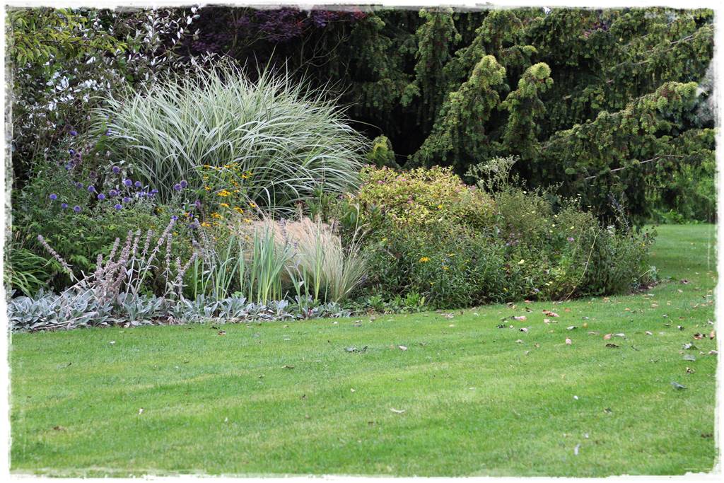 Cis w ogrodzie aranżacje 70 Cis w ogrodzie aranżacje 70