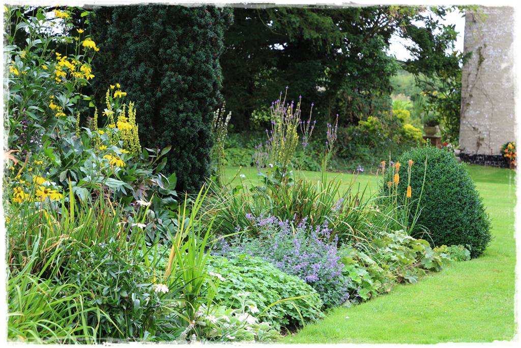 Cis w ogrodzie aranżacje 70e