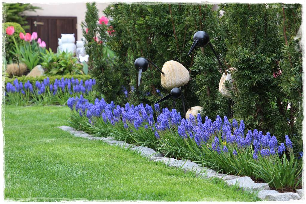 Cis w ogrodzie aranżacje 70f